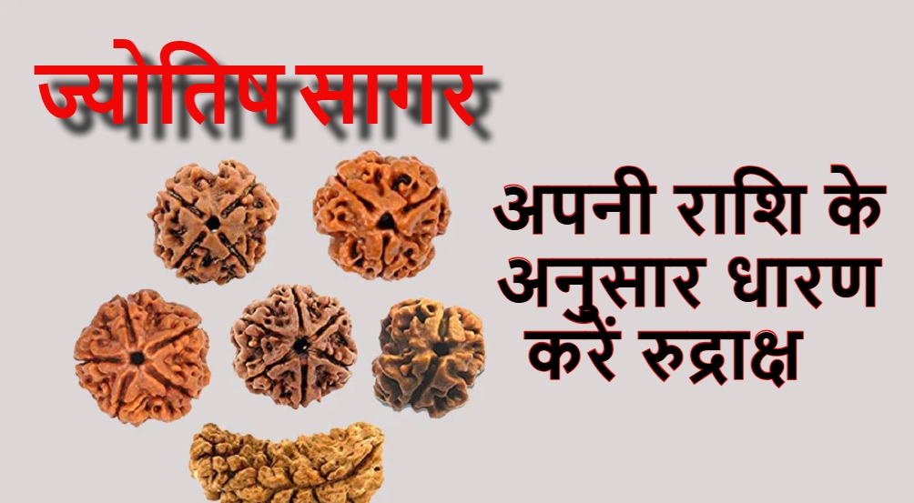 rudraksha according to rashi